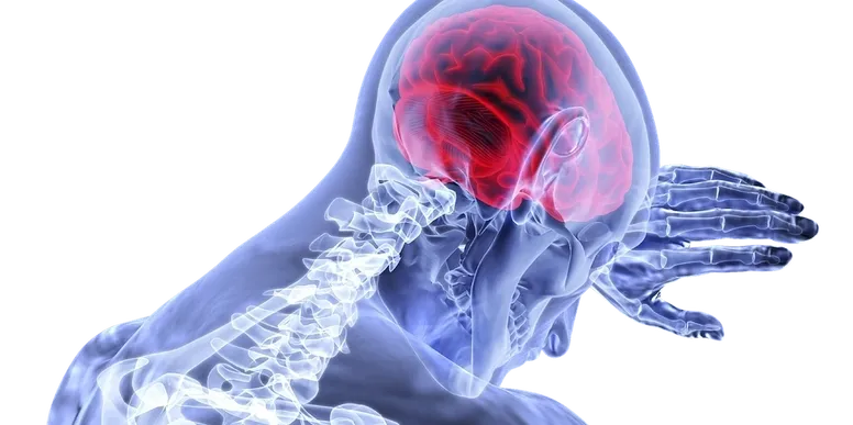 Transparent body with highlighted red brain.